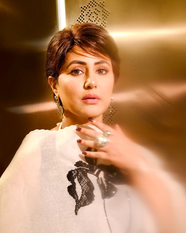 या कठीण काळात हिनाच्या कुटुंबीयांसोबतच आणखी एक व्यक्ती खंबीरपणे तिच्या पाठिशी उभी असल्याचं पहायला मिळालं.