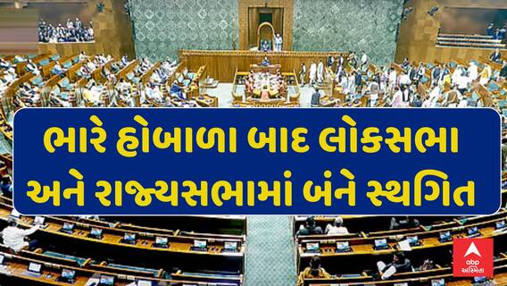 Opposition Protests In Parliament : ભારે હોબાળા બાદ લોકસભા અને રાજ્યસભામાં બંને સ્થગિત