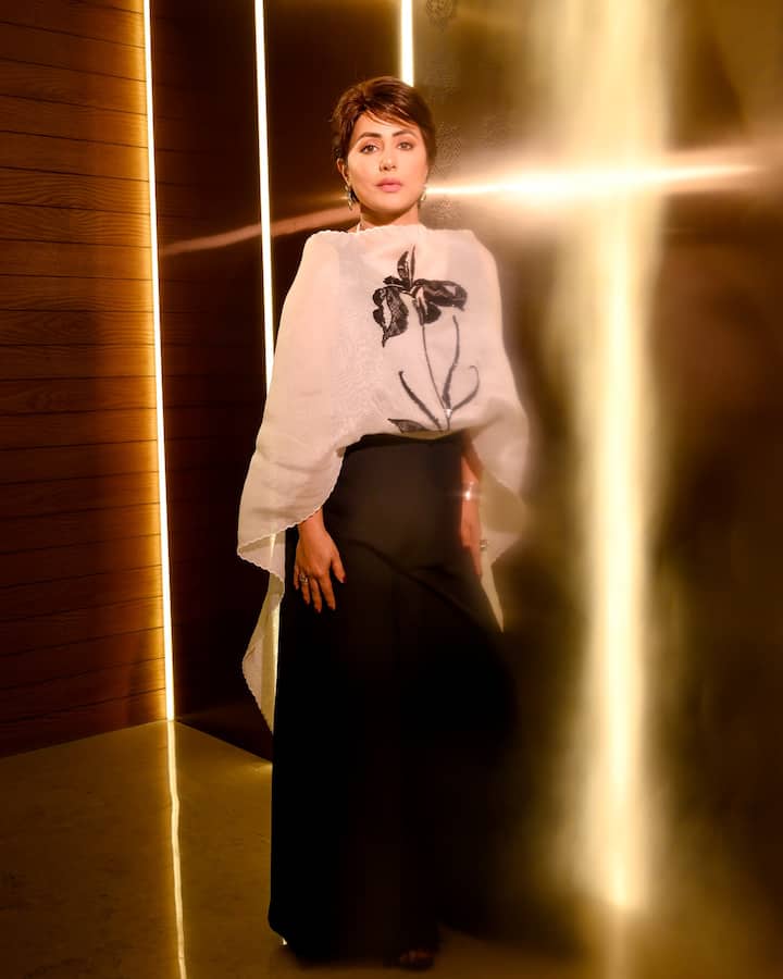 हिनाला ब्रेस्ट कॅन्सरचं निदान झालं होतं. त्यानंतर तिच्यावर सर्जरी आणि किमोथेरपी पार पडली.