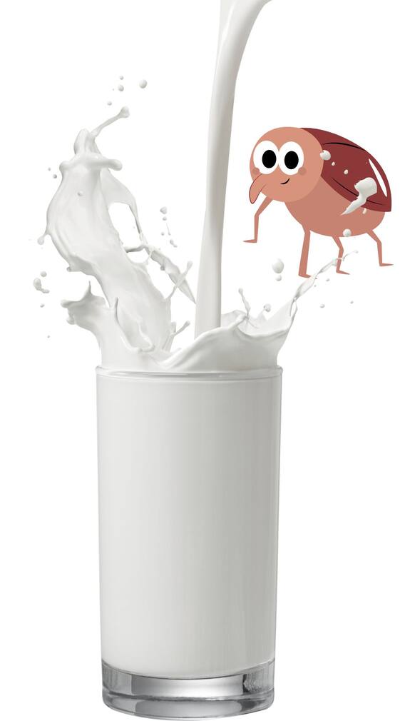 ஒட்டகப்பால் கூட தெரியும்..இதென்ன கரப்பான் பூச்சி பால்?