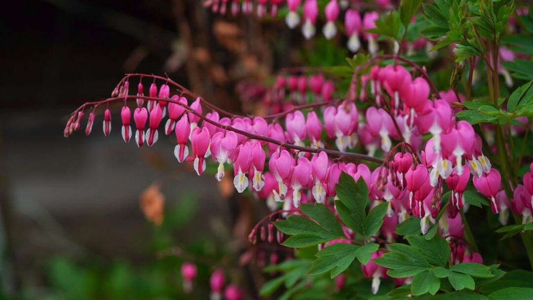 Anti-Valentine's Week 2025: ’ஸ்லாப் டே’ டூ ’ப்ரேக்ப் டே’ - என்ன ஸ்பெசல்? தெரிஞ்சிக்கோங்க! Anti-Valentine's Week 2025 Calendar Full List Slap Day to Breakup Day, find out all about days after Valentines Week Anti-Valentine's Week 2025: ’ஸ்லாப் டே’ டூ ’ப்ரேக்ப் டே’ - என்ன ஸ்பெசல்? தெரிஞ்சிக்கோங்க!