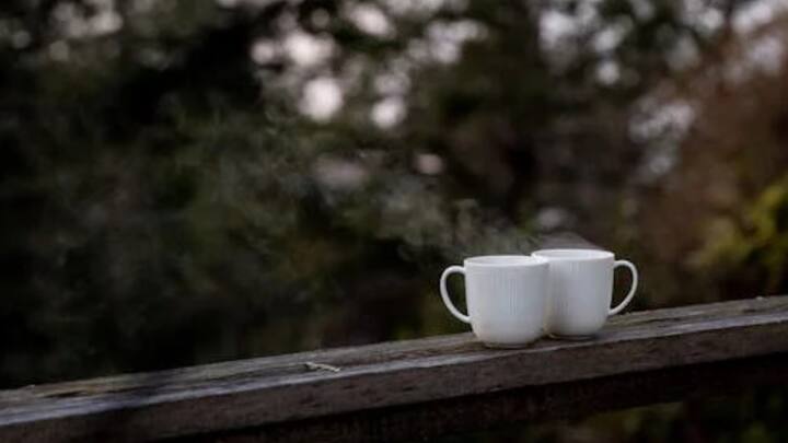 बता दें कि कंबोडिया देश में चाय के साथ लोग भूनी हुई मकड़ी खाना पसंद करते हैं. रोस्टेड मकड़ी कई लोगों की पसंदीदा डिश है. इसे चाय के साथ स्नैक्स के तौर पर दिया जाता है.