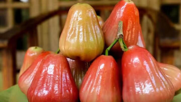 দাঁতের রোগও অনেকটাই সারিয়ে তুলতে সক্ষম এই ফল। পাশাপাশি মুখের ভিতর আমাদের লালারস তৈরিতেও সাহায্য করে।