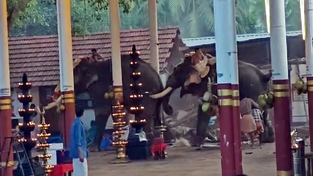 பயங்கரமாக மோதிக்கொண்ட 2  யானைகள்.. அலறிய மக்கள்.. 3 பேர் உடல் நசுங்கி உயிரிழப்பு