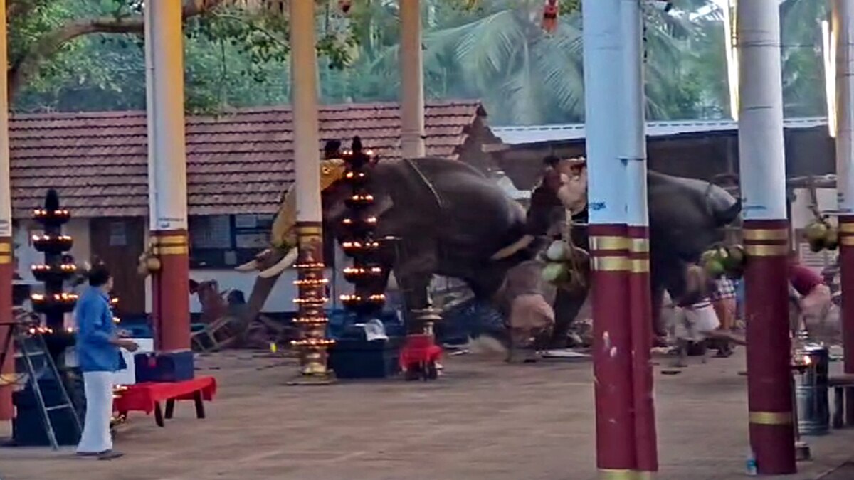 பயங்கரமாக மோதிக்கொண்ட 2  யானைகள்.. அலறிய மக்கள்.. 3 பேர் உடல் நசுங்கி உயிரிழப்பு