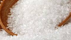 lifestyle: ખાંડ કે મધ, જાણો દૂધમાં શું ભેળવીને પીવું યોગ્ય છે