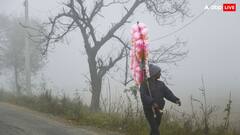 Weather Forecast: यूपी में वेलेंटाइन डे पर तूफानी हवाएं! दिल्ली में आ गई गर्मी, 19 से फिर बदलेगा मौसम, जानें देशभर का अपडेट