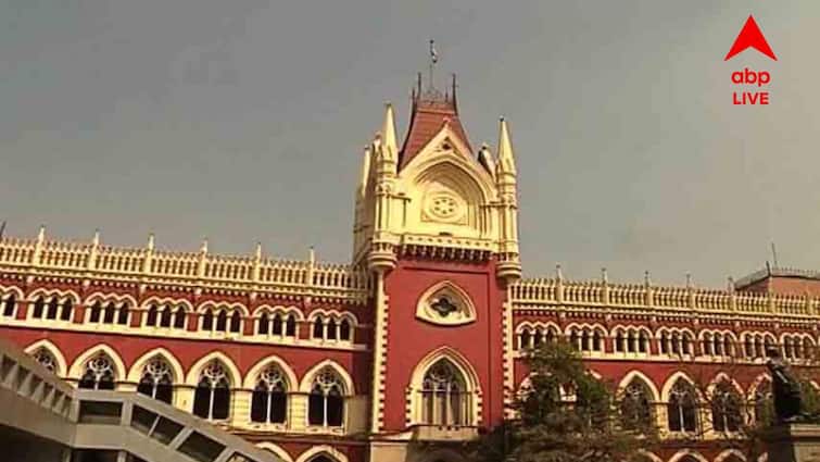 Newtown News case filed demanding safety and security at night work calcutta High Court orders preparation of guidelines Newtown News: নিউটাউনে রাতে কাজে নিরাপত্তা ও সুরক্ষার দাবি মামলা, গাইডলাইন তৈরির নির্দেশ হাইকোর্টের