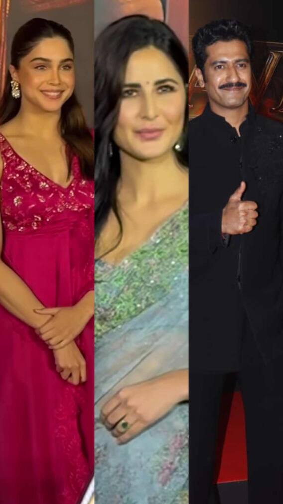 छावा की स्क्रीनिंग पर विक्की कौशल संग हाथ थामे पहुंचीं कैटरीना, ये सितारे भी आए नजर