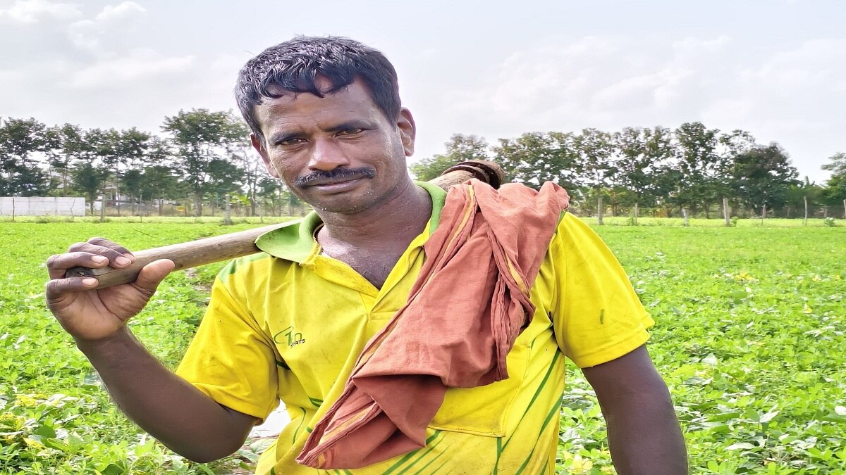 மாற்றி யோசிச்சா... மகத்தான வசூல் எடுக்கலாம்: இளம் விவசாயியின் அசத்தல் சாகுபடி