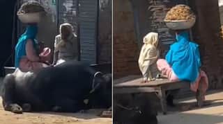 ਗੱਲਾਂ ਜ਼ਰੂਰੀ ਐ...! ਸਿਰ ‘ਤੇ ਭਰਿਆ ਬੱਠਲ ਰੱਖਕੇ ਗੱਲਾਂ ਮਾਰਨ ਬੈਠੀ ਬੇਬੇ ਭੁੱਲੀ ਸਾਰਾ ਭਾਰ, ਦੇਖੋ ਵਾਇਰਲ ਵੀਡੀਓ