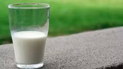 lifestyle: ખાંડ કે મધ, જાણો દૂધમાં શું ભેળવીને પીવું યોગ્ય છે