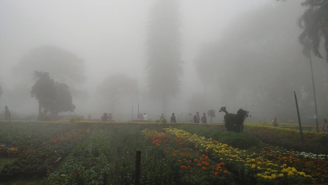 Valentine's Day 2025: சேலத்தில் இருந்து ஒரே நாளில் காதலர்கள் சென்று வர நச்சுன்னு 4 ஸ்பாட்