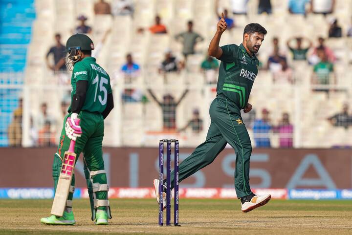 ‘द हंड्रेड लीग’ में हारिस रऊफ, इमाद वसीम, मोहम्मद आमिर और उसामा मीर जैसे पाकिस्तानी दिग्गज खिलाड़ी खेलते हुए नजर आते हैं.
