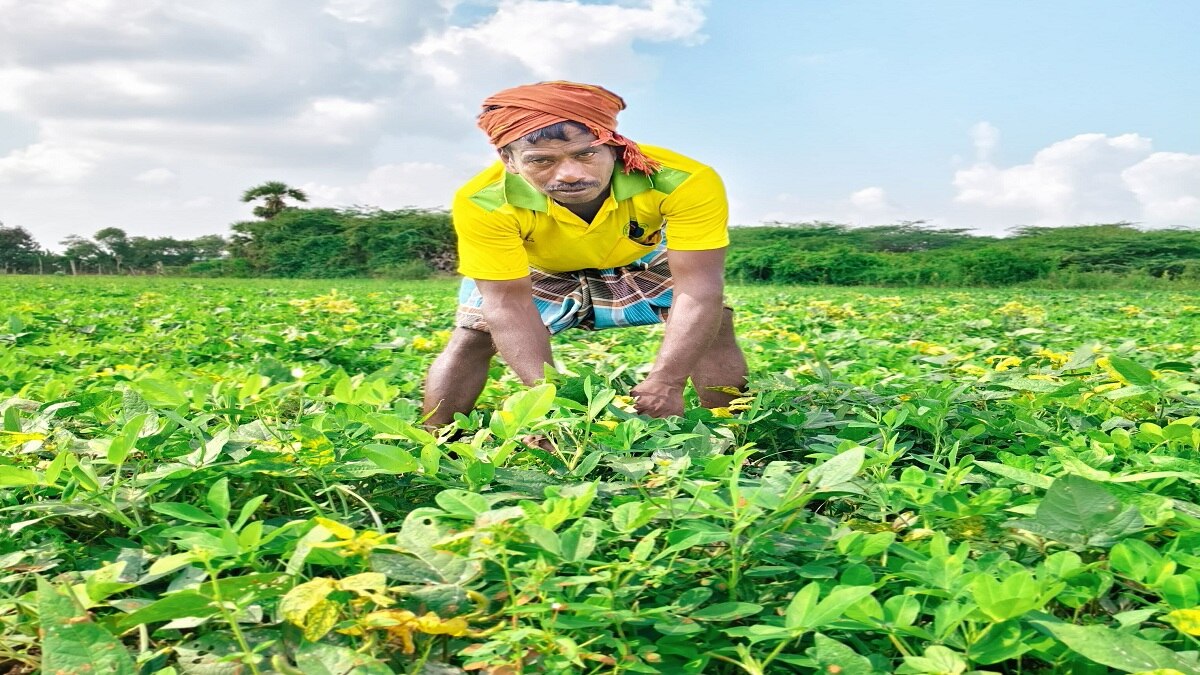 மாற்றி யோசிச்சா... மகத்தான வசூல் எடுக்கலாம்: இளம் விவசாயியின் அசத்தல் சாகுபடி