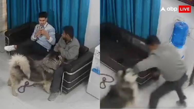 man was playing with husky suddenly dog attacked him horrific video goes viral on social media क्लीनिक में हस्की के साथ खेल रहा था युवक, अचानक उसी कुत्ते ने कर दिया अटैक- खौफनाक वीडियो हुआ वायरल