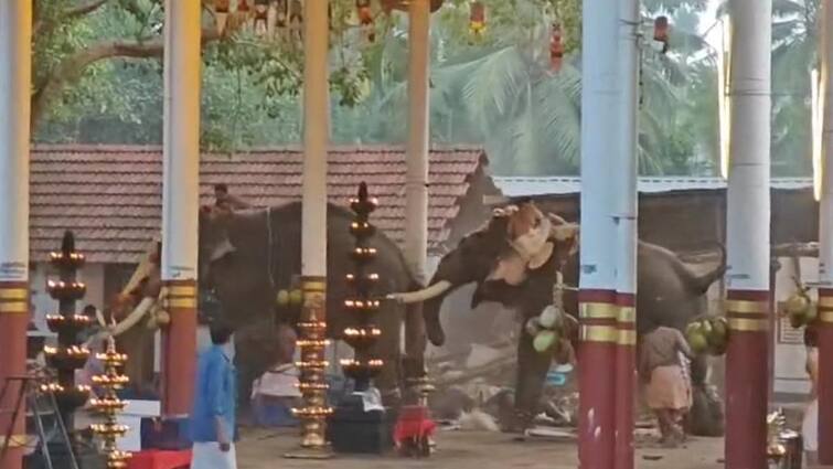 Kerala Temple Stampede 3 Killed As 2 Elephants Run In Panic கட்டுக்கடங்காத யானை.. தலைத்தெறிக்க ஓடிய பக்தர்கள்.. கேரள கோயில் திருவிழாவில் பரபரப்பு!