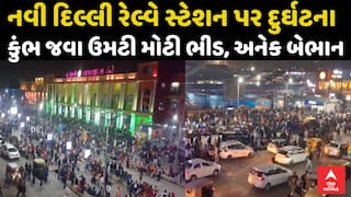 નવી દિલ્હી રેલ્વે સ્ટેશન પર નાસભાગ, મહાકુંભમાં જનારાઓની ભારે ભીડમાં ગૂંગળામણને કારણે અને મુસાફરો બેભાન