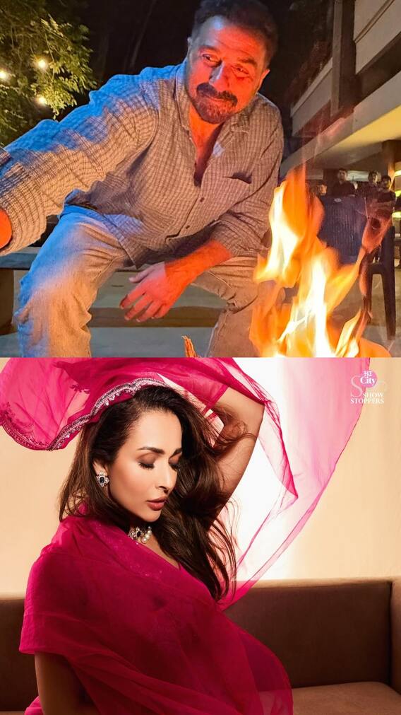 सनी देओल की प्रॉपर्टी पर कब्जा करेंगी ये एक्ट्रेस?