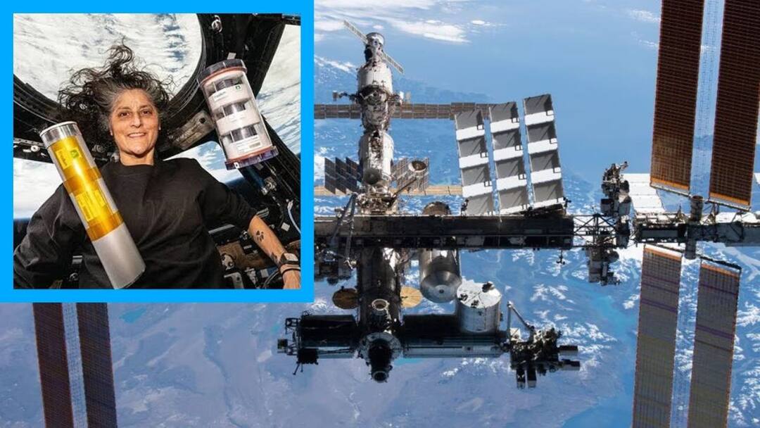 Sunita Williams: பூமிக்கு வந்தால் பென்சிலை தூக்குவதே கஷ்டம்..சுனிதா வில்லியஸ் எப்போது பூமி வருகிறார்? சிக்கல்கள் என்ன? Sunita Williams Said An Interview That Even Lifting A Pencil Will Be A Workout Upon Her Return To Earth On March 19 Sunita Williams: பூமிக்கு வந்தால் பென்சிலை தூக்குவதே கஷ்டம்..சுனிதா வில்லியஸ் எப்போது பூமி வருகிறார்? சிக்கல்கள் என்ன?