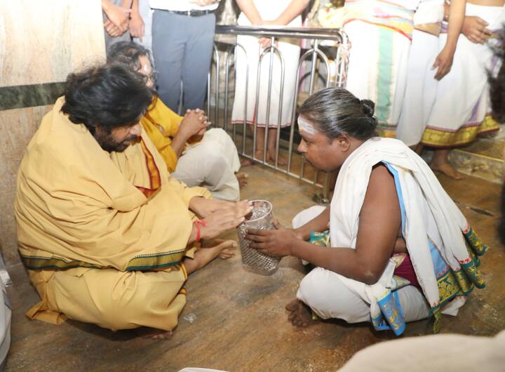 పవన్ కళ్యాణ్ తో పాటూ అకీరా నందన్, టీటీడీ బోర్డు సభ్యుడు శ్రీ ఆనంద్ సాయి ఉన్నారు.