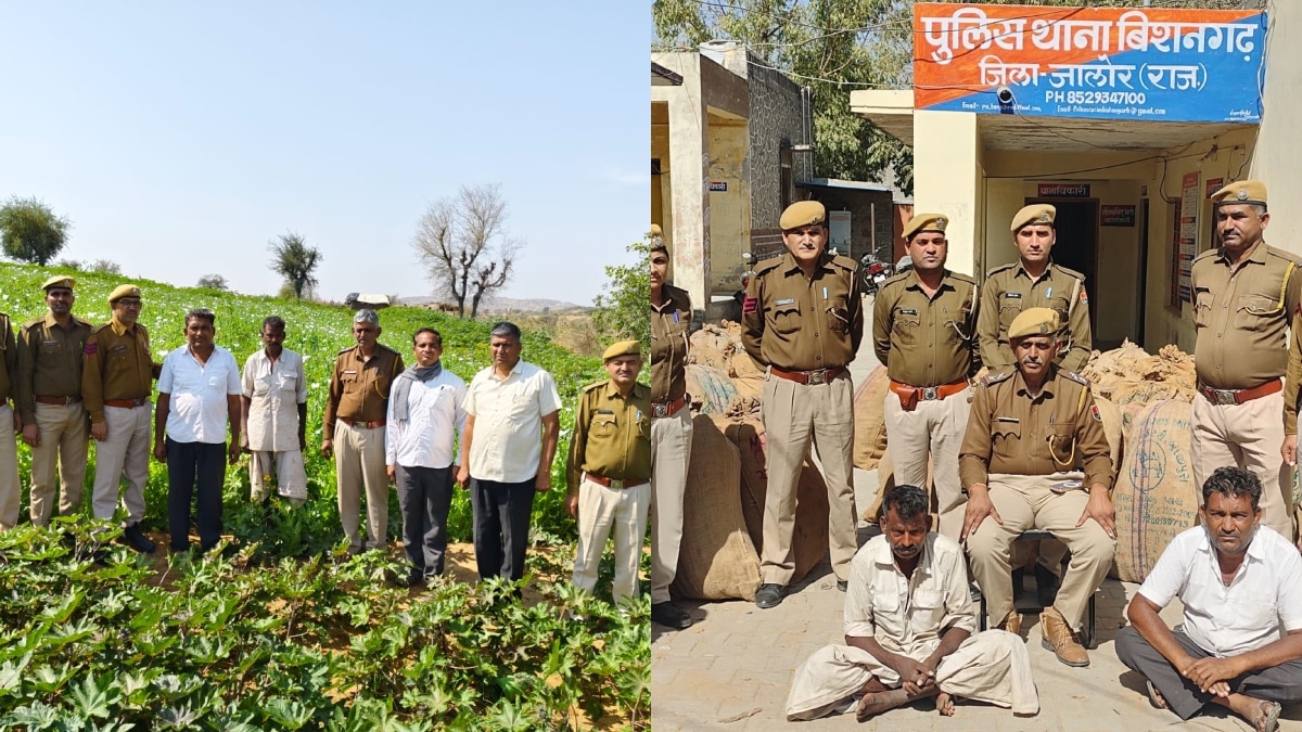 जालौर: अरंडी के बीच अफीम की खेती देख हैरान रह गई पुलिस, आरोपियों से पूछताछ में बड़ा खुलासा