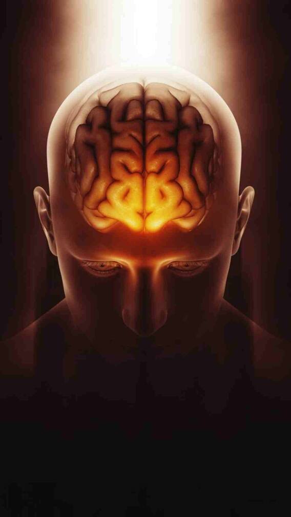 हमारे दिमाग में कितना पानी होता है?