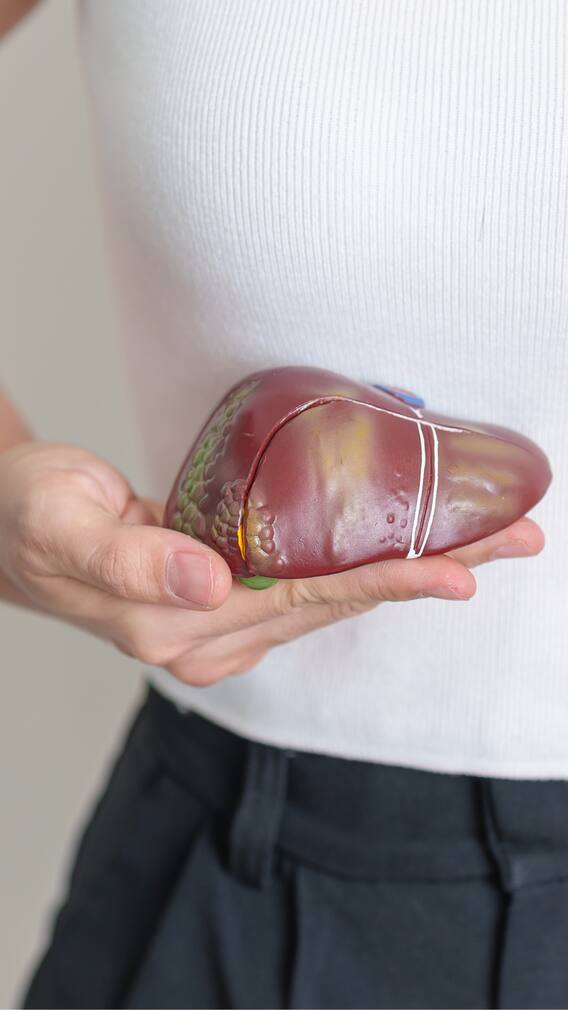 ঘরে বসে এই কয়েকটি লক্ষণেই বুঝে যাবেন, লিভার বিগড়োচ্ছে কি না