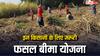 इन किसानों को जरूर लेना चाहिए फसल बीमा योजना का लाभ, ये हैं फायदे