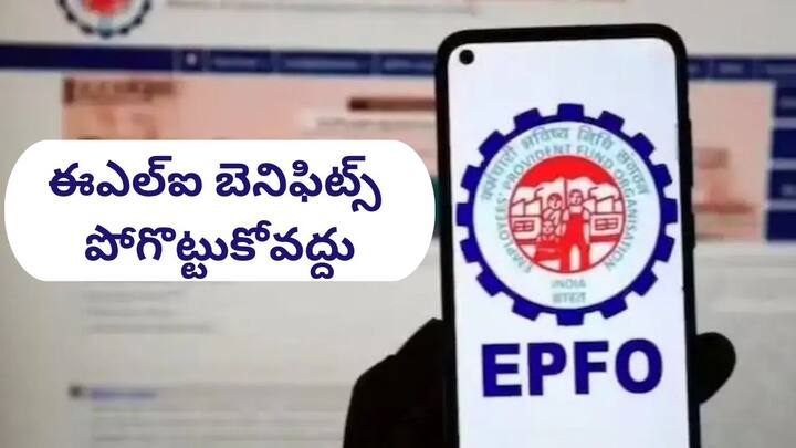 This is the last date or deadline to activate UAN for EPFO ​​ELI scheme if you do this it will works EPFO ELI News: ELI స్కీమ్‌ కోసం UAN యాక్టివేట్ చేయడానికి ఇదే చివరి తేదీ - మిస్‌ చేస్తే రూ.15,000 పోతాయ్‌!