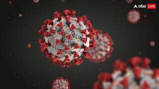 कोरोना जैसी महामारी का खतरा बढ़ा रहीं ये आठ बीमारियां, जानें इनके बारे में हर एक बात