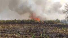 Jalna News : क्षणात होत्याचं नव्हतं झालं! शेतकऱ्याचा 45 एकर वरील ऊस जळून खाक, लाखोंचे नुकसान