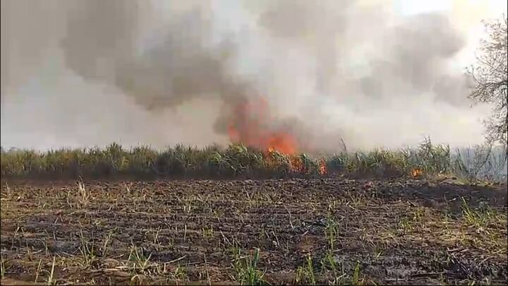 ट्रांसफार्मरमध्ये शॉर्ट सर्किट झाल्याने ही आग लागल्याची घटना घडलीय.