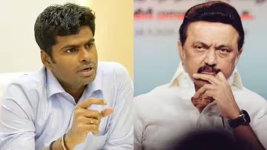 காலாவதியான கொள்கையை, தமிழகக் குழந்தைகள் மீது திணிப்பது நியாயமா முதல்வரே? அண்ணாமலை கேள்வி!