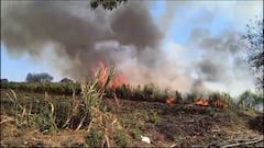 Jalna News : क्षणात होत्याचं नव्हतं झालं! शेतकऱ्याचा 45 एकर वरील ऊस जळून खाक, लाखोंचे नुकसान