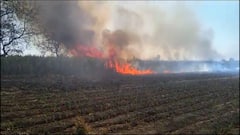 Jalna News : क्षणात होत्याचं नव्हतं झालं! शेतकऱ्याचा 45 एकर वरील ऊस जळून खाक, लाखोंचे नुकसान