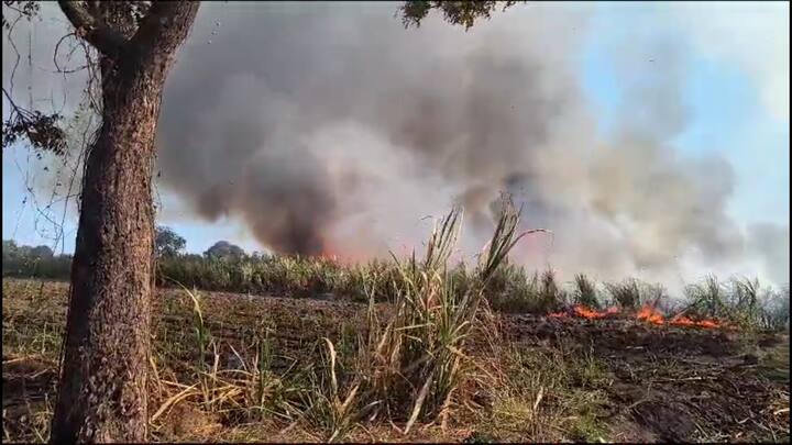 काढणीला आलेल्या उसाचे पीक ऐनवेळीला हातातून गेल्यामुळे शेतकऱ्यांना लाखो रुपयांचा मोठा फटका आणि आर्थिक नुकसान झाल्याने शेतकरी हवालदिल झाला आहे.
