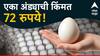 Egg Price: ऐकावं ते नवलच! एका अंड्याची किंमत 72 रुपये, दरात एवढी वाढ होण्याचं कारण काय?