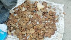 महाकुंभ के भंडारे का बचा हुआ भोजन अपने साथ ले जाएंगे सफाई कर्मचारी, इस काम के लिए करेंगे प्रयोग