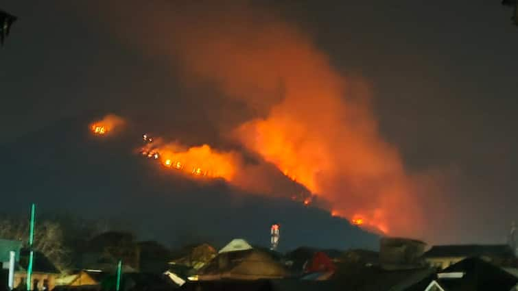 Massive Forest Fires Rage Across Kashmir Amid Prolonged Dry Spell