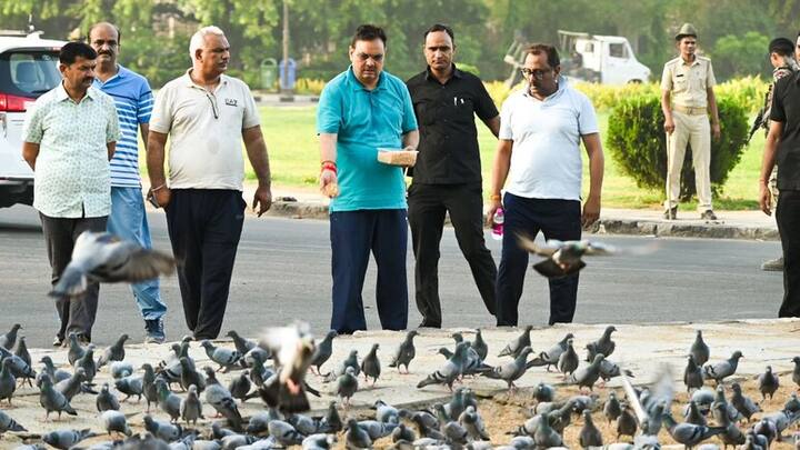 मॉर्निंग वॉक के दौरान वह सड़कों पर कबूतरों को दाना खिलाते हुए भी देखे गए थे.