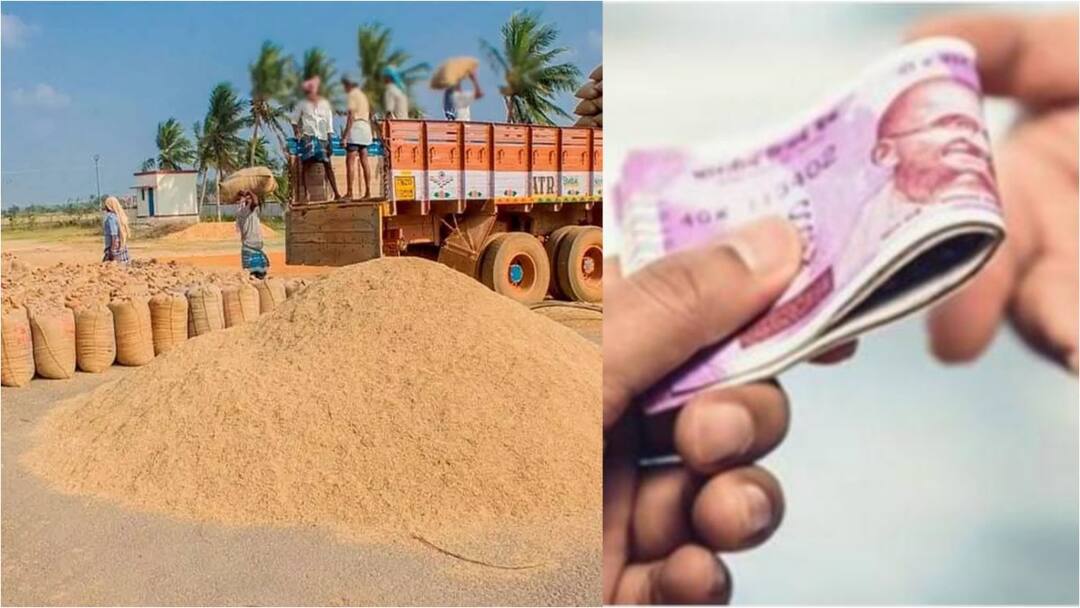 விவசாயிகளே உங்களுக்குதான்! லஞ்சம் வாங்குனா உடனே இத பண்ணுங்க.. அரசின் அதிரடி முடிவு