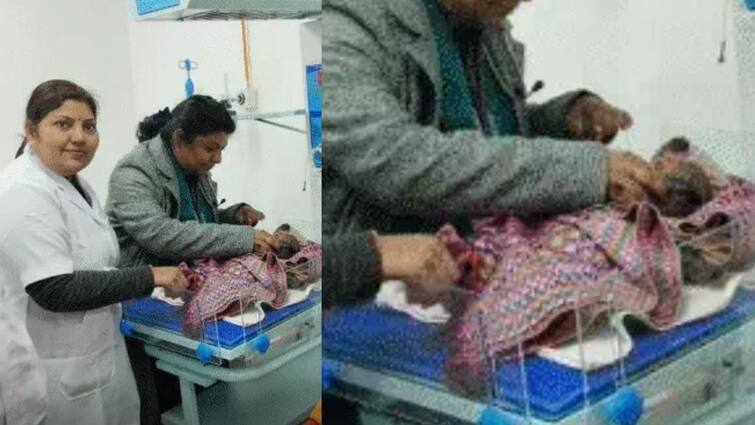 Mahakumbh 2025 Devotees are considering birth of newborns in Sangam as a divine coincidence children named by Ganga Yamuna Kumbh ANN Mahakumbh 2025: संगम में नवजातों के जन्म को श्रद्धालु मान रहे हैं दिव्य संयोग, गंगा, यमुना, कुंभ जैसे नाम से जाने जाएंगे बच्चे