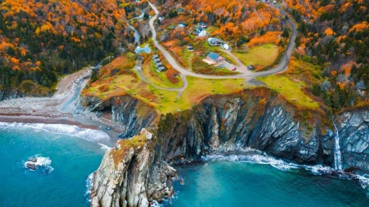 (Image Source: Pinterest/tinarobichaud)