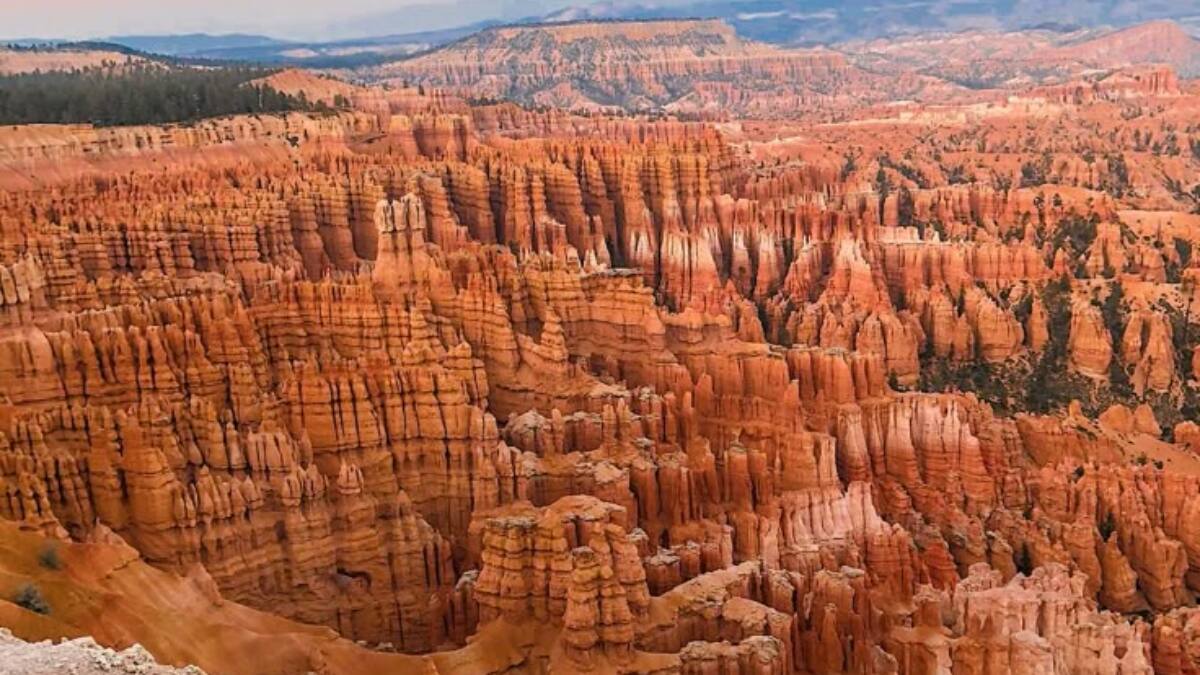 (Image Source: Pinterest/sightseeingsenorita)