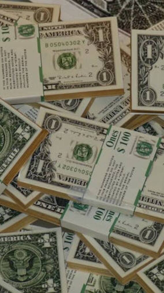 क्या भारत से भी कर्ज लेता है अमेरिका?