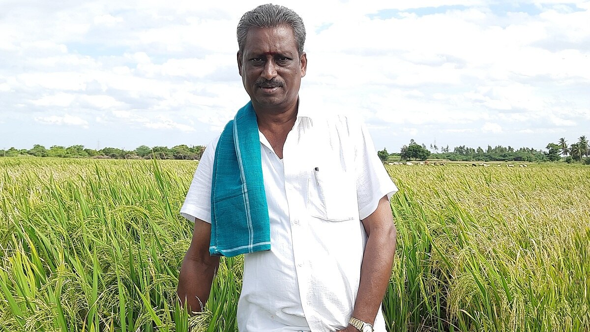 இயற்கை விவசாயம் செய்து அருமையான வருமானம் எடுக்கும் தஞ்சை விவசாயி: எவ்வளவு தெரியுமா?