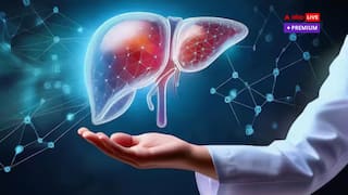 क्या सच में मेथी पानी बनाता है स्लिम और घी चेहरे पर लाता है ग्लो? एक्सपर्ट से जानें