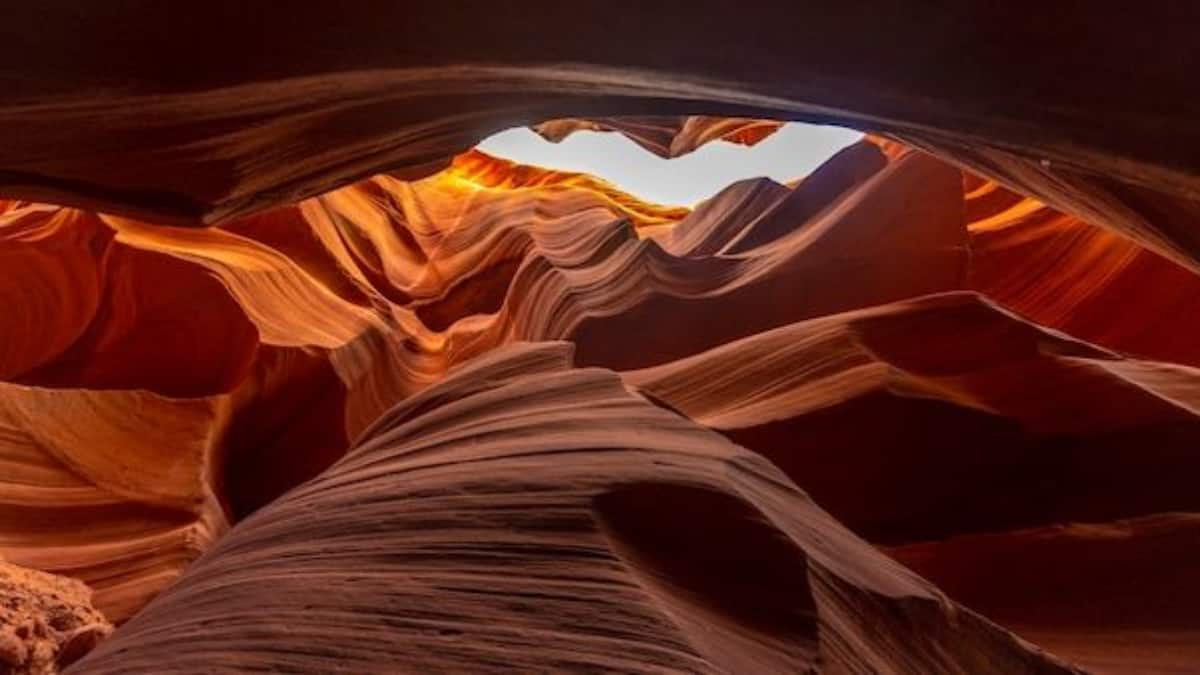 (Image Source: Pinterest/Freepik)