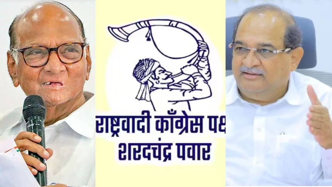 नुसत्या तुताऱ्या फुकून काही होत नसतं, राधाकृष्ण विखे पाटलांचा शरद पवारांना टोला तर राऊत मनोरुग्ण झाल्याची टीका Minister Radhakrishna Vikhe Patil criticizes on Sharad Pawar and Sanjay Raut in Sangola नुसत्या तुताऱ्या फुकून काही होत नसतं, राधाकृष्ण विखे पाटलांचा शरद पवारांना टोला तर राऊत मनोरुग्ण झाल्याची टीका